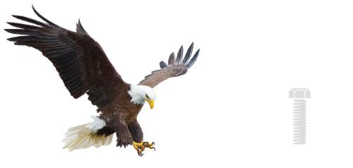 logo-aguia-parafusos-fonte-branca